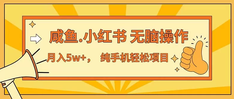 2024最赚钱的项目，咸鱼，小红书无脑操作，每单利润500+，轻松月入5万+… - 淘客掘金网-淘客掘金网