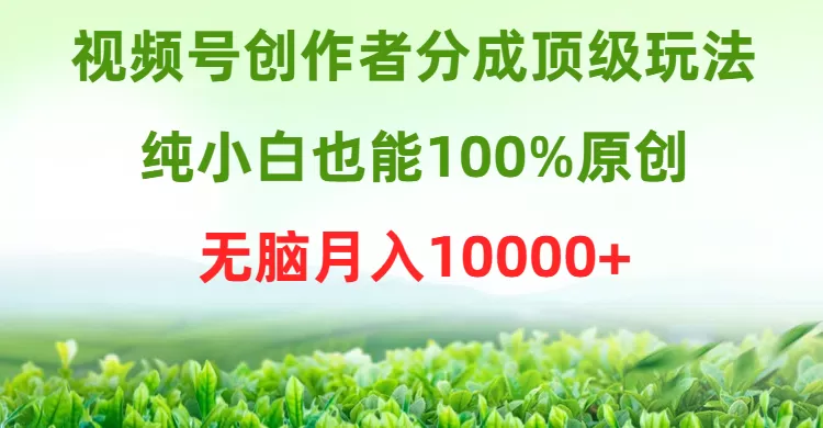 视频号创作者分成顶级玩法，纯小白也能100%原创，无脑月入10000+ - 淘客掘金网-淘客掘金网