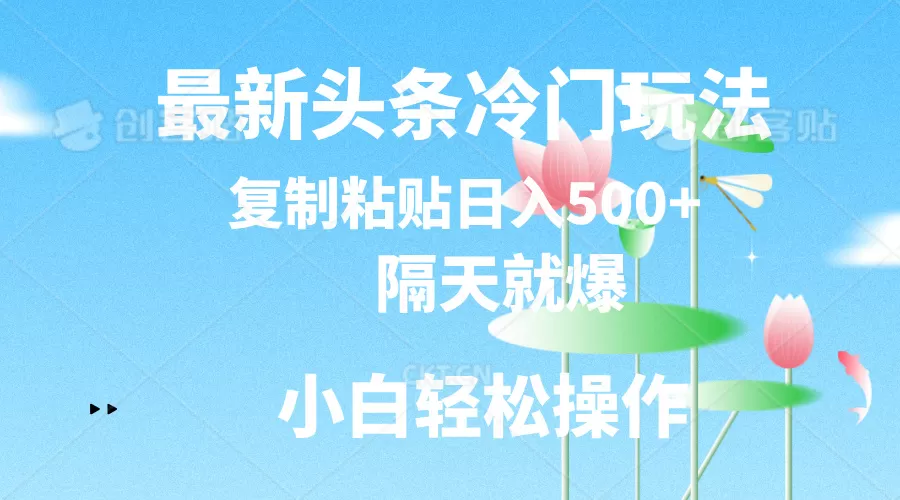 最新头条冷门玩法，隔天就爆，复制粘贴日入500+ - 淘客掘金网-淘客掘金网