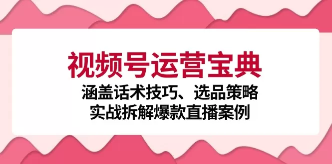 视频号运营宝典：涵盖话术技巧、选品策略、实战拆解爆款直播案例 - 淘客掘金网-淘客掘金网