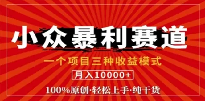 视频号最新爆火赛道，三种可收益模式，0粉新号条条原创条条热门 日入1000+ - 淘客掘金网-淘客掘金网