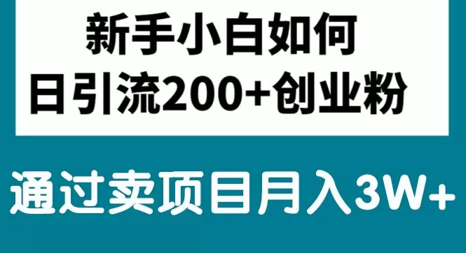 新手小白日引流200+创业粉,通过卖项目月入3W+ - 淘客掘金网-淘客掘金网