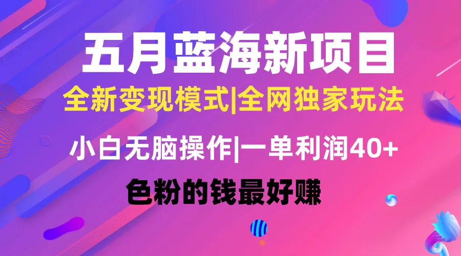 五月蓝海项目全新玩法，小白无脑操作，一天几分钟，矩阵操作，月入4万+ - 淘客掘金网-淘客掘金网