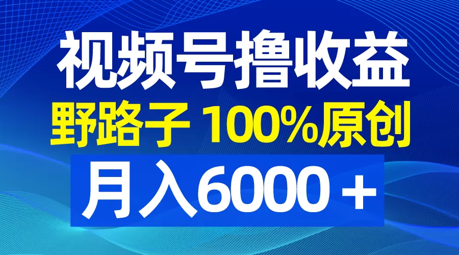 视频号野路子撸收益，100%原创，条条爆款，月入6000＋ - 淘客掘金网-淘客掘金网