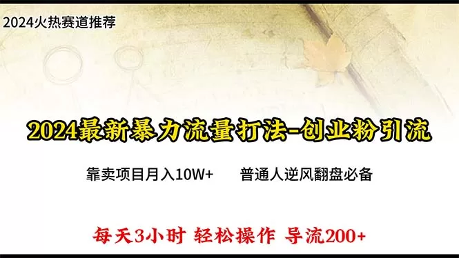 2024年最新暴力流量打法，每日导入300+，靠卖项目月入10W+ - 淘客掘金网-淘客掘金网