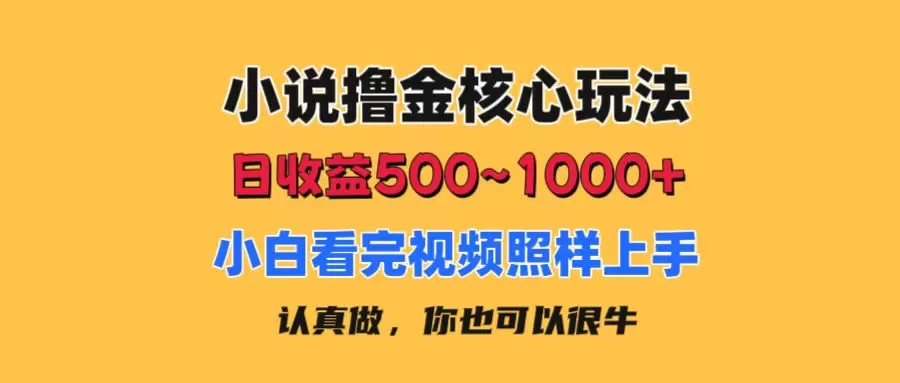 小说撸金核心玩法，日收益500-1000+，小白看完照样上手，0成本有手就行 - 淘客掘金网-淘客掘金网