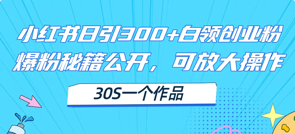 小红书日引300+高质白领创业粉，可放大操作，爆粉秘籍！30s一个作品 - 淘客掘金网-淘客掘金网