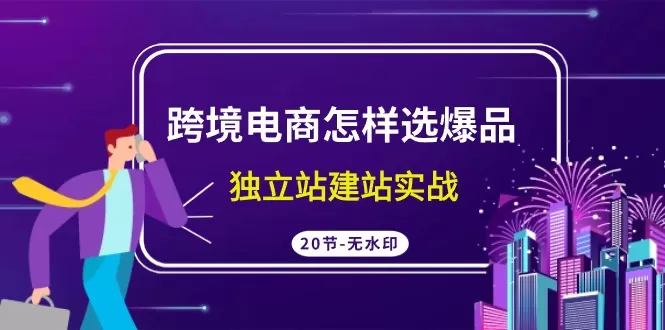 跨境电商怎样选爆品，独立站建站实战（20节高清无水印课） - 淘客掘金网-淘客掘金网