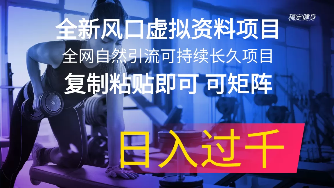 全新风口虚拟资料项目 全网自然引流可持续长久项目 复制粘贴即可可矩阵… - 淘客掘金网-淘客掘金网