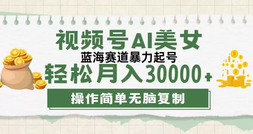 视频号AI美女跳舞，轻松月入30000+，蓝海赛道，流量池巨大，起号猛，无… - 淘客掘金网-淘客掘金网