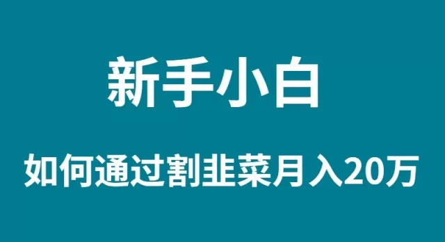 新手小白如何通过割韭菜月入 20W - 淘客掘金网-淘客掘金网