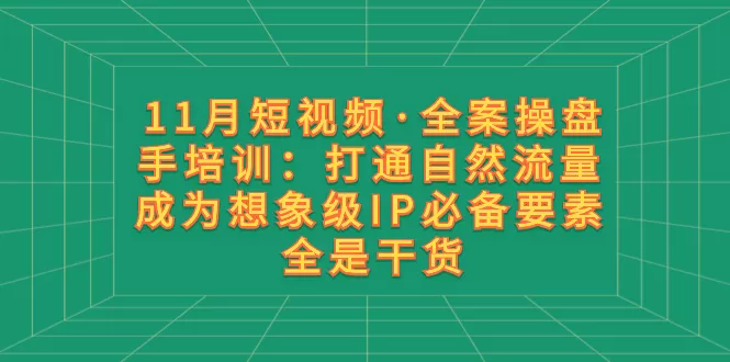 11月短视频·全案操盘手培训：打通自然流量 成为想象级IP必备要素 全是干货 - 淘客掘金网-淘客掘金网