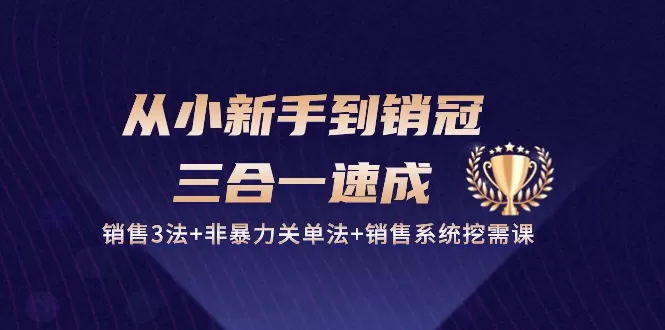 从小新手到销冠 三合一速成：销售3法+非暴力关单法+销售系统挖需课 (27节) - 淘客掘金网-淘客掘金网