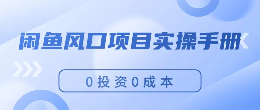 闲鱼风口项目实操手册，0投资0成本，让你做到，月入过万，新手可做 - 淘客掘金网-淘客掘金网