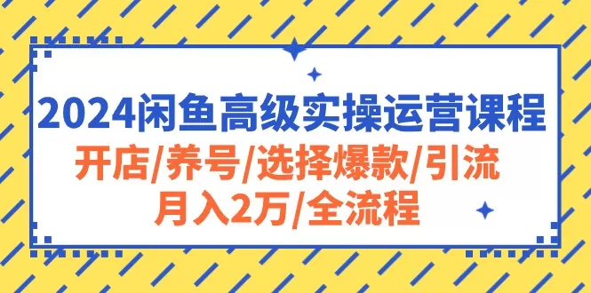 2024闲鱼高级实操运营课程：开店/养号/选择爆款/引流/月入2万/全流程 - 淘客掘金网-淘客掘金网