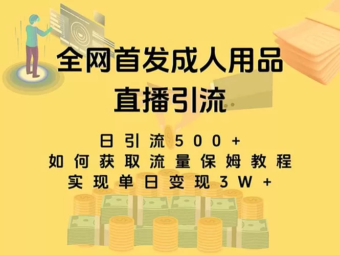 最新全网独创首发，成人用品直播引流获客暴力玩法，单日变现3w保姆级教程 - 淘客掘金网-淘客掘金网