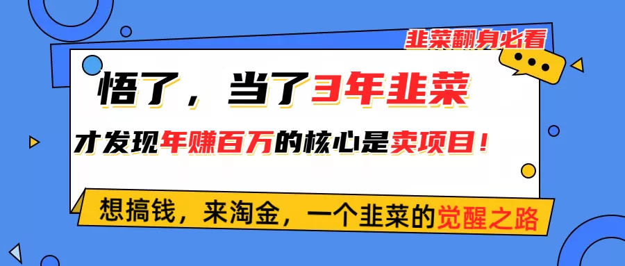 悟了，当了3年韭菜，才发现网赚圈年赚100万的核心是卖项目，含泪分享！ - 淘客掘金网-淘客掘金网