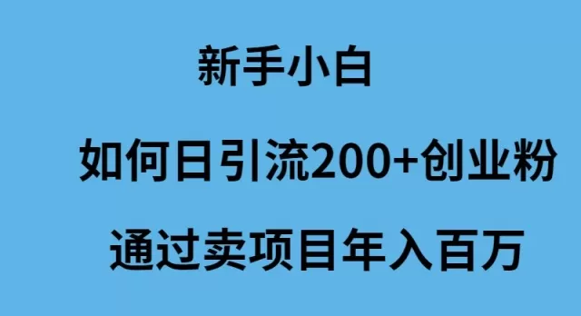 新手小白如何日引流200+创业粉通过卖项目年入百万 - 淘客掘金网-淘客掘金网