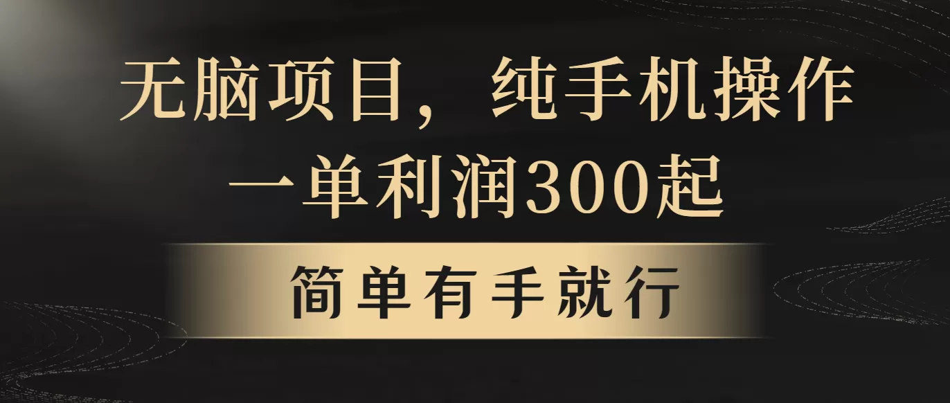 无脑项目，一单几百块，轻松月入5w+，看完就能直接操作 - 淘客掘金网-淘客掘金网