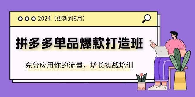 2024拼多多-单品爆款打造班(更新6月)，充分应用你的流量，增长实战培训 - 淘客掘金网-淘客掘金网