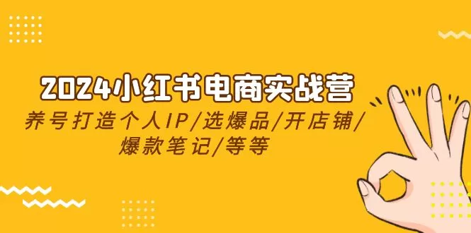 2024小红书电商实战营，养号打造IP/选爆品/开店铺/爆款笔记/等等（24节） - 淘客掘金网-淘客掘金网