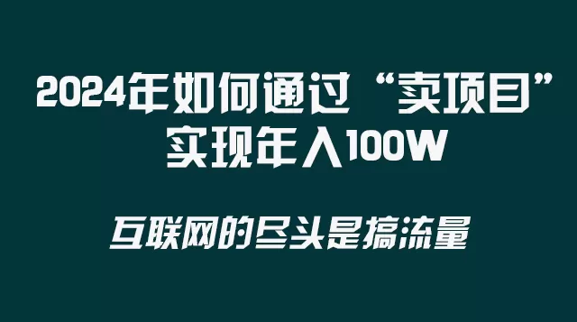 2024年如何通过“卖项目”实现年入100W - 淘客掘金网-淘客掘金网