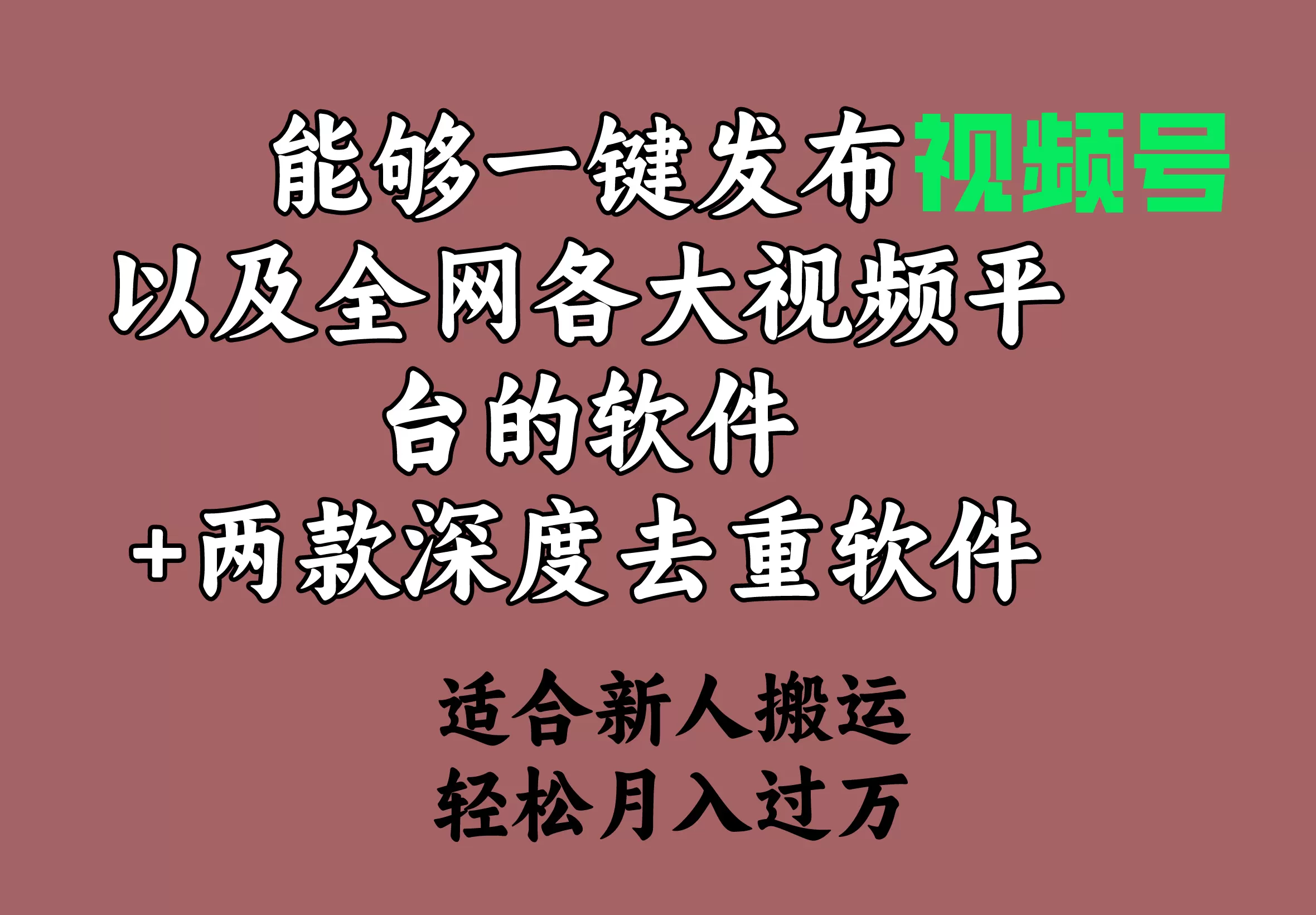 能够一键发布视频号以及全网各大视频平台的软件+两款深度去重软件 适合… - 淘客掘金网-淘客掘金网