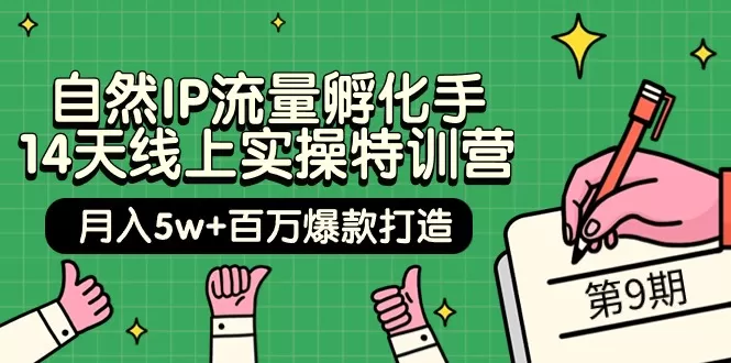 自然IP流量孵化手 14天线上实操特训营【第9期】月入5w+百万爆款打造 (74节) - 淘客掘金网-淘客掘金网