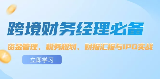 跨境 财务经理必备：资金管理、税务规划、财报汇报与IPO实战 - 淘客掘金网-淘客掘金网