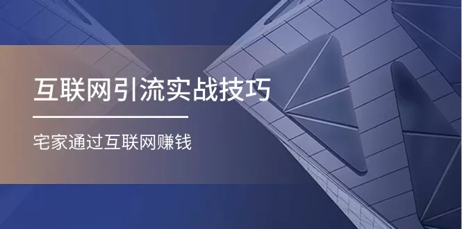 互联网引流实操技巧(适合微商，吸引宝妈)，宅家通过互联网赚钱（17节） - 淘客掘金网-淘客掘金网