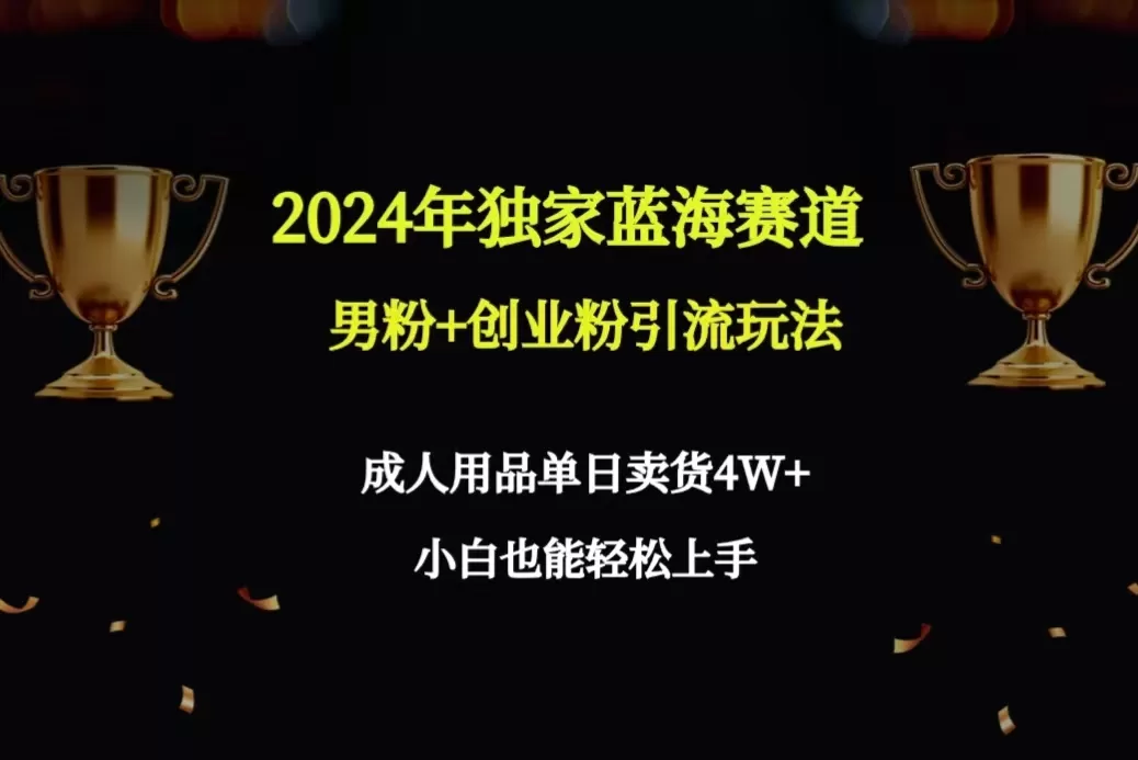 2024年独家蓝海赛道男粉+创业粉引流玩法，成人用品单日卖货4W+保姆教程 - 淘客掘金网-淘客掘金网