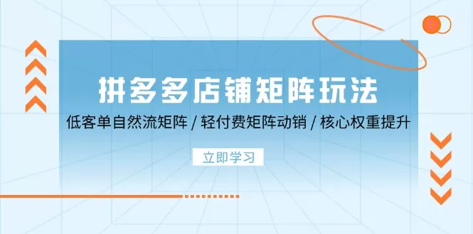 拼多多店铺矩阵玩法：低客单自然流矩阵 / 轻付费矩阵 动销 / 核心权重提升 - 淘客掘金网-淘客掘金网