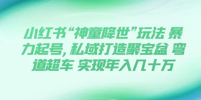 （7673期）小红书“神童降世”玩法 暴力起号,私域打造聚宝盆 弯道超车 实现年入几十万 - 淘客掘金网-淘客掘金网