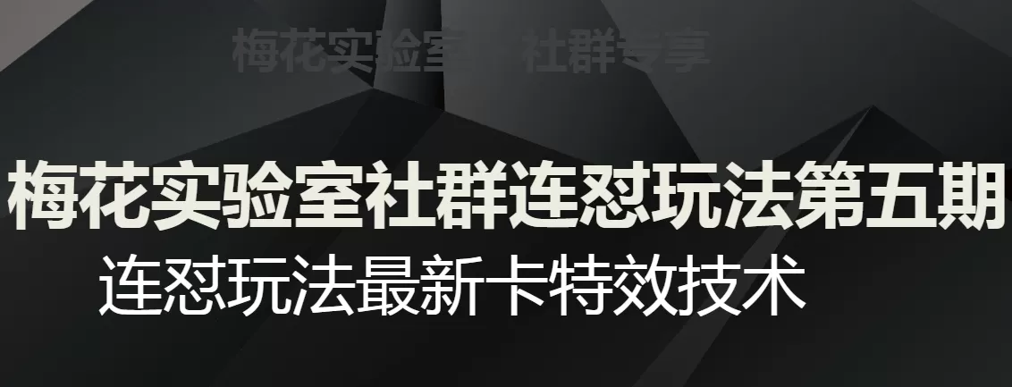 梅花实验室社群连怼玩法第五期，视频号连怼玩法最新卡特效技术 - 淘客掘金网-淘客掘金网