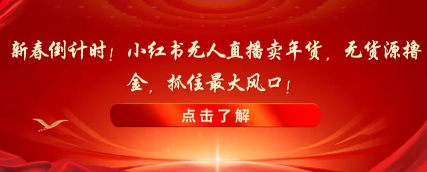 新春倒计时！小红书无人直播卖年货，无货源撸金，抓住最大风口【揭秘】 - 淘客掘金网-淘客掘金网