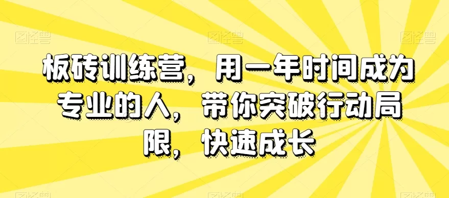 板砖训练营，用一年时间成为专业的人，带你突破行动局限，快速成长 - 淘客掘金网-淘客掘金网