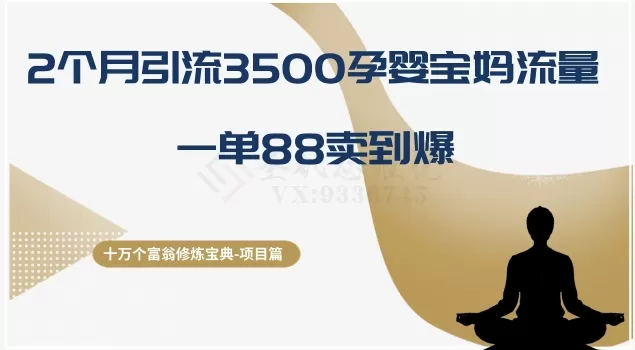 十万个富翁修炼宝典之13.2个月引流3500孕婴宝妈流量，一单88卖到爆 - 淘客掘金网-淘客掘金网