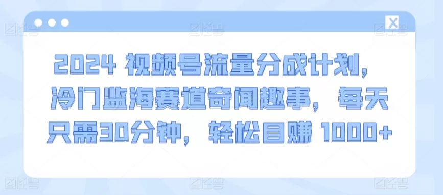 2024视频号流量分成计划，冷门监海赛道奇闻趣事，每天只需30分钟，轻松目赚 1000+ - 淘客掘金网-淘客掘金网