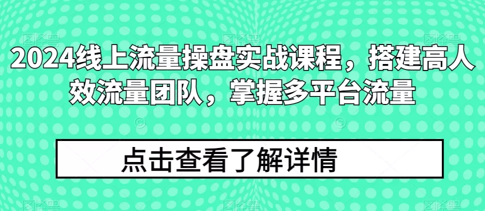 2024线上流量操盘实战课程，搭建高人效流量团队，掌握多平台流量 - 淘客掘金网-淘客掘金网