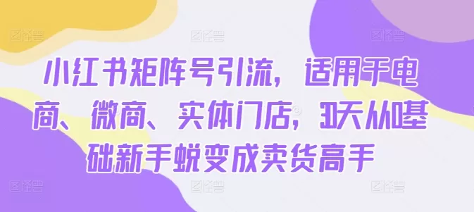 小红书矩阵号引流，适用于电商、微商、实体门店，30天从0基础新手蜕变成卖货高手 - 淘客掘金网-淘客掘金网