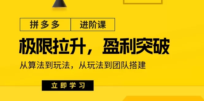 拼多多进阶课：极限拉升/盈利突破：从算法到玩法 从玩法到团队搭建（18节） - 淘客掘金网-淘客掘金网