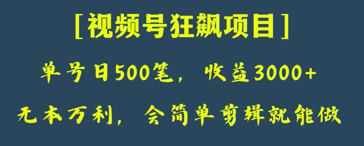 日收款500笔，纯利润3000+，视频号狂飙项目，会简单剪辑就能做【揭秘】 - 淘客掘金网-淘客掘金网