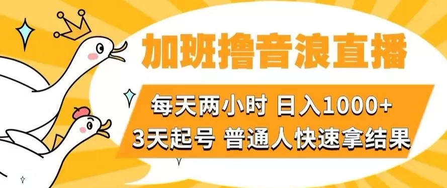 加班撸音浪直播，每天两小时，日入1000+，直播话术才3句，3天起号，普通人快速拿结果【揭秘】 - 淘客掘金网-淘客掘金网