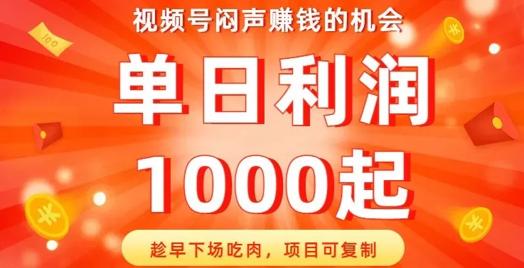 视频号闷声赚钱的机会，趁早下场吃肉，项目可复制，单日利润1000起【揭秘】 - 淘客掘金网-淘客掘金网