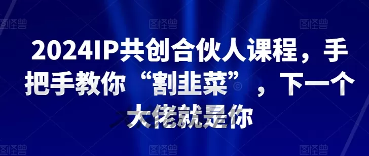 2024IP共创合伙人课程，手把手教你“割韭菜”，下一个大佬就是你 - 淘客掘金网-淘客掘金网