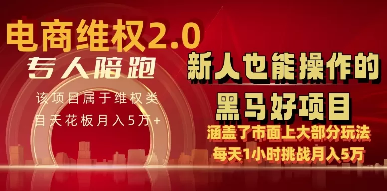 电商维权 4.0 如何做到月入 5 万+每天 1 小时新人也能快速上手【仅揭秘】 - 淘客掘金网-淘客掘金网