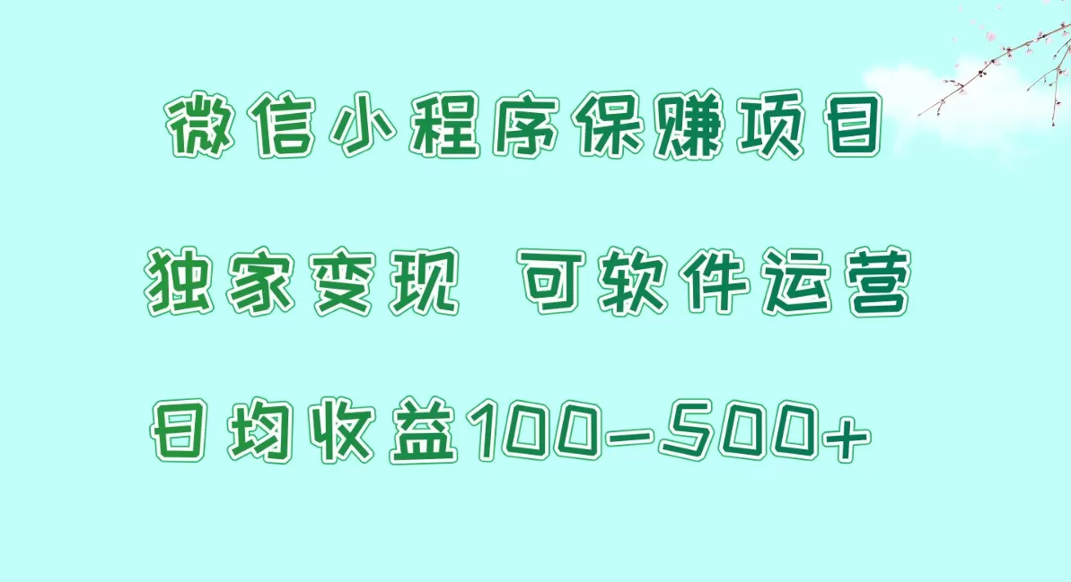 微信小程序保赚项目，日均收益100~500+，独家变现，可软件运营 - 淘客掘金网-淘客掘金网