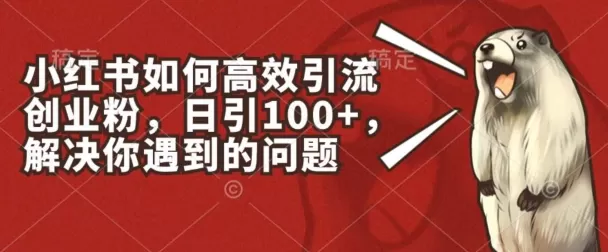 小红书如何高效引流创业粉，日引100+，解决你遇到的问题 - 淘客掘金网-淘客掘金网