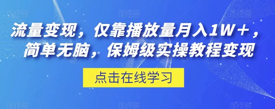 流量变现，仅靠播放量月入1W＋，简单无脑，保姆级实操教程【揭秘】 - 淘客掘金网-淘客掘金网