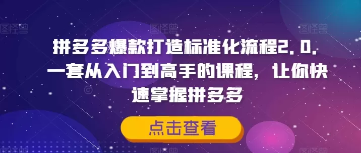 拼多多爆款打造标准化流程2.0，一套从入门到高手的课程，让你快速掌握拼多多 - 淘客掘金网-淘客掘金网